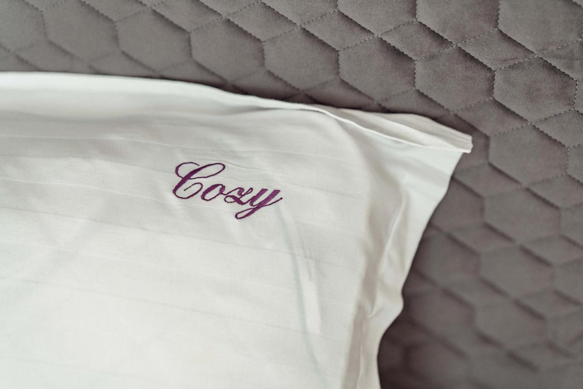 Cozy Aparthotel - Ultracentral Luxury Apartments ヤシ エクステリア 写真